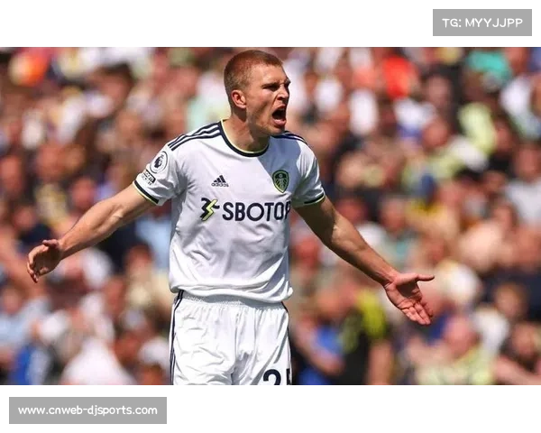 利兹联主场失守 西汉姆联客场奋力抢分保级